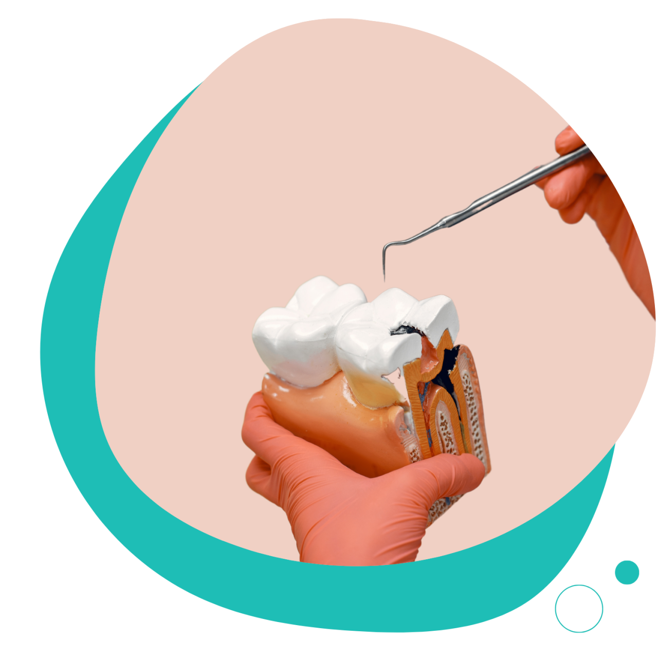 https://dentanatura.hu/wp-content/uploads/2024/08/dentanatura-szolgaltatasaink-2-1280x1280.png