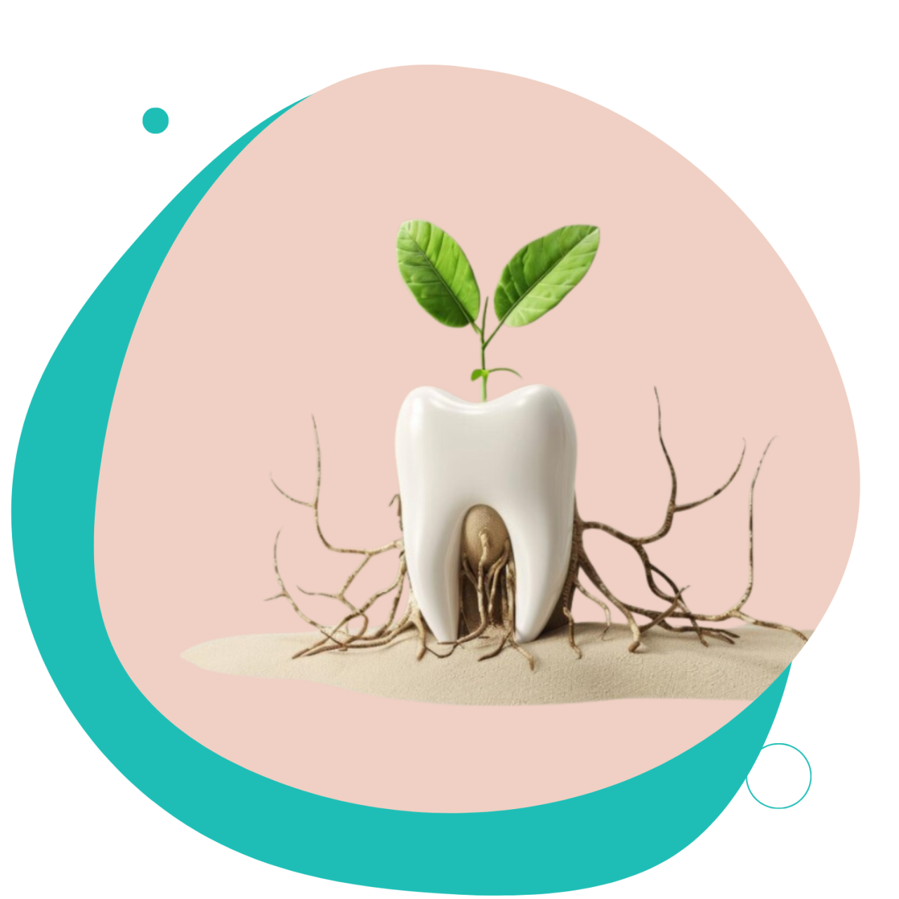 https://dentanatura.hu/wp-content/uploads/2024/08/gyokerkezeles-dentanatura01-1280x1280.png