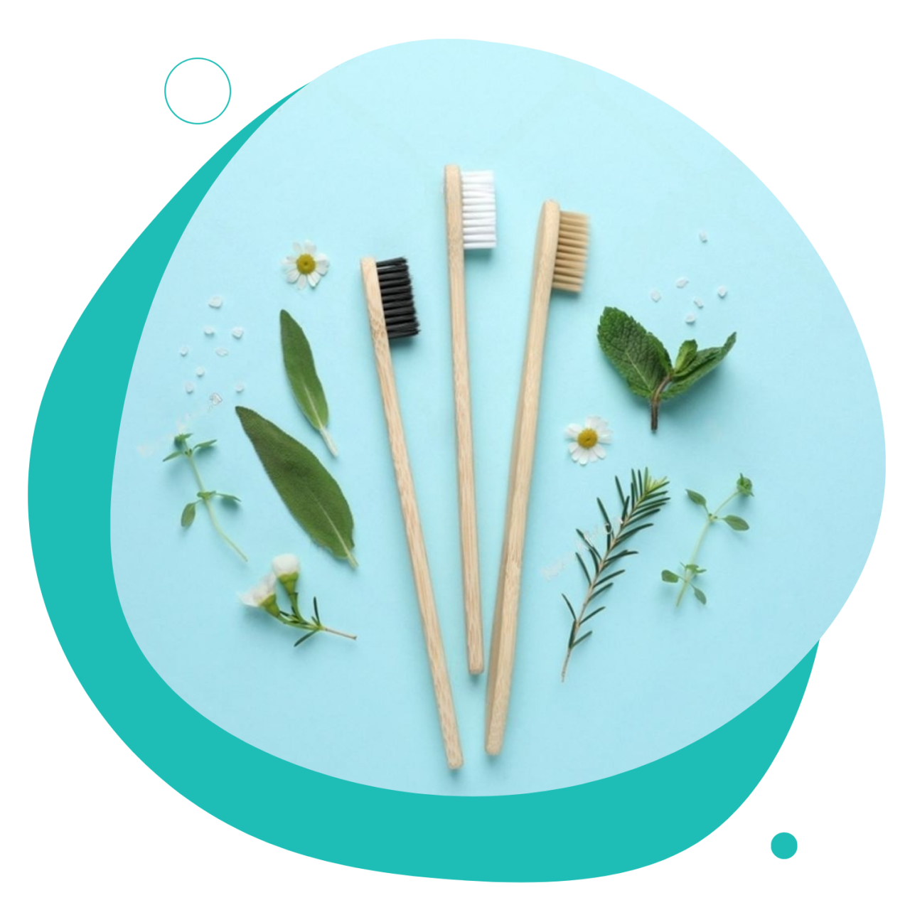 https://dentanatura.hu/wp-content/uploads/2024/08/preventiv-fogaszat-dentanatura-1280x1280.png
